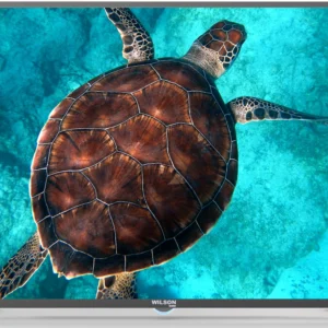 WILSON TV PICTURE