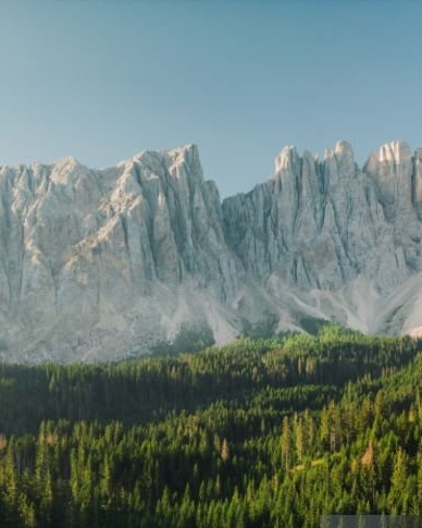 Paysage de montagne et for&ecirc;t