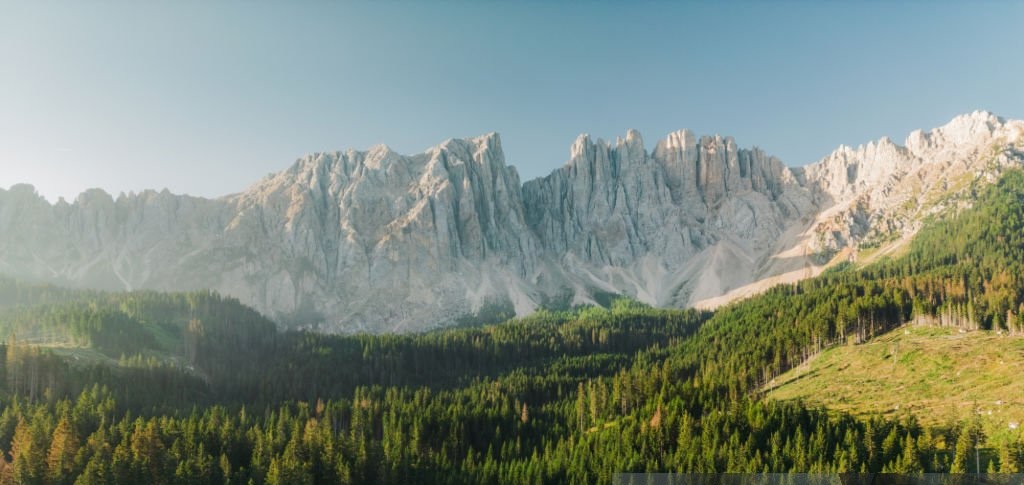 Paysage de montagne et for&ecirc;t